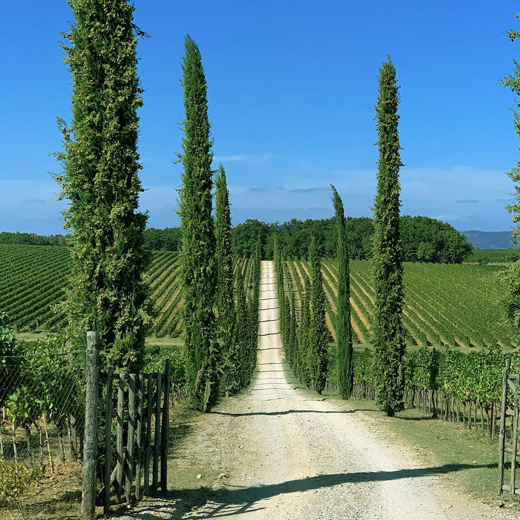 Business masterclass retreats in Europe