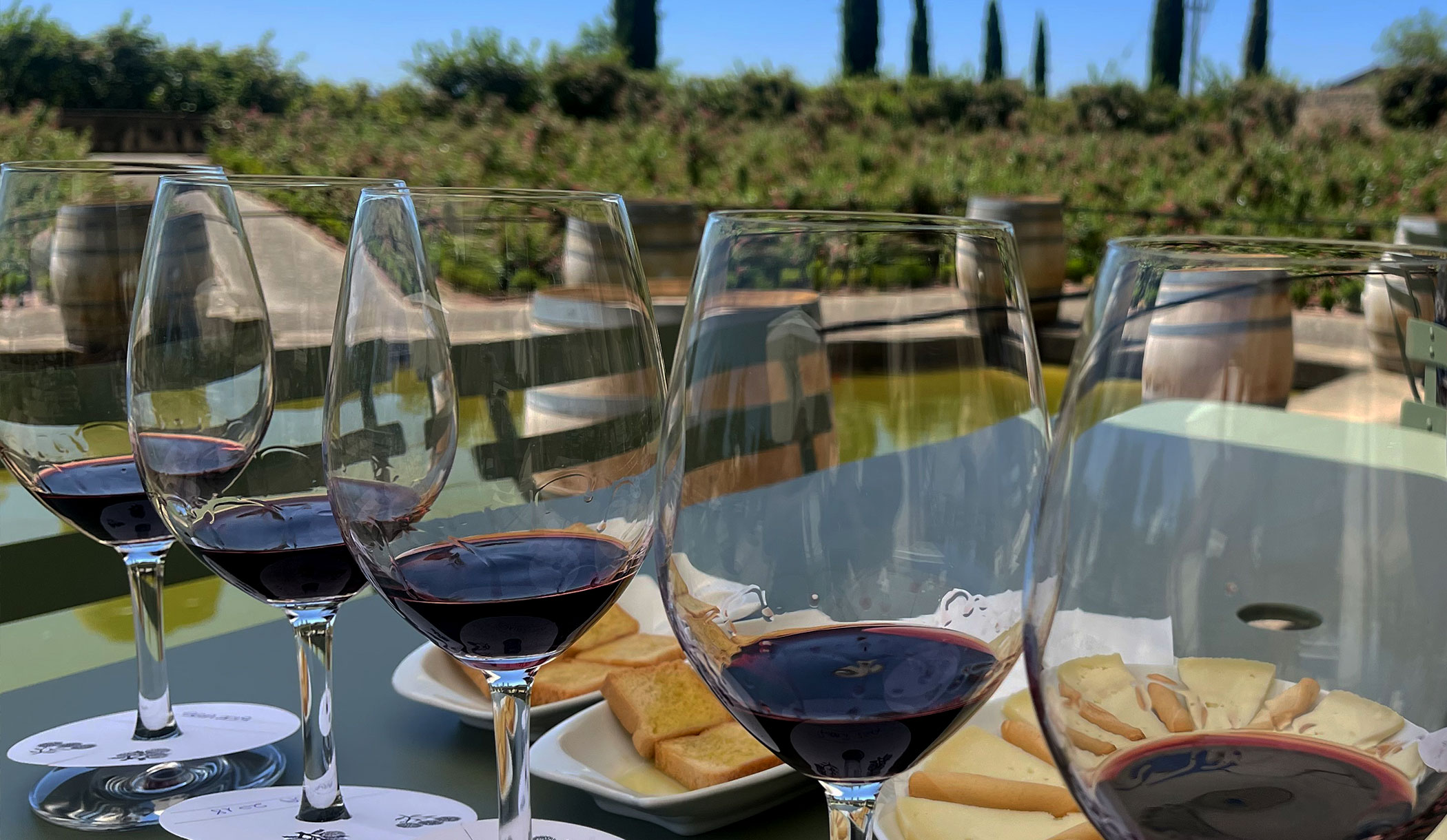 Tonic Corporate Retreats for Professionals and CEO's